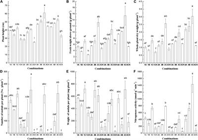 Symbiotic Performances of Three Mesorhizobium huakuii Strains Inoculated to Chinese Milk Vetch Varieties